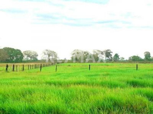 Imagen 8 de 15 de Finca En Venta Vía El Sur. Maturín (1)