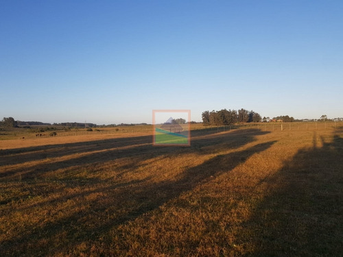 Imagen 10 de 12 de Chacra 7 Hás Rincón De José Ignacio