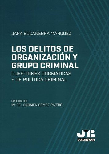 Libro Delitos De Organización Y Grupo Criminal. Cuestiones