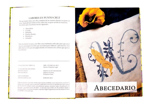 Libro Labores En Punto Cruz