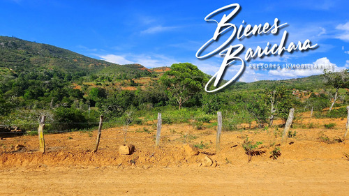 Vendo Parcela La Ensenada Barichara Vda. Llano Higueras