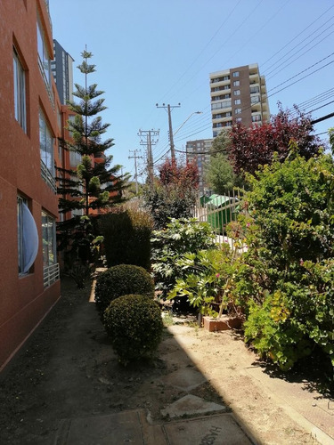 Se Arrienda Comodo Departamento En Isla Picton Viña Del Mar