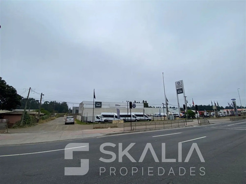 Terreno De 16.000 M2, Crédito Directo Con El Dueño 100%