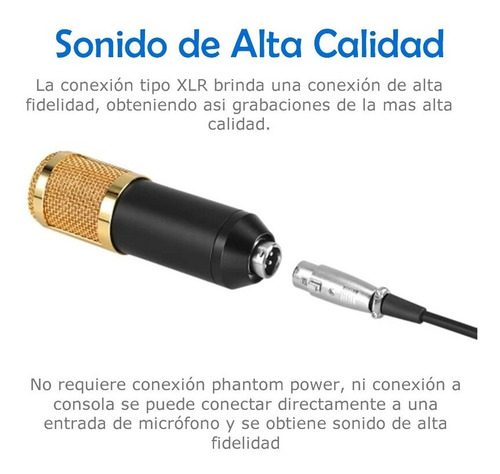 Microfono Condensador Bm800 Con Base Araña Cable Plug 3.5mm