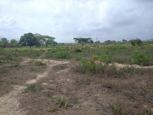 Imagen 21 de 30 de Terrenos En Venta El Placer Cabudare 21-17389 @m
