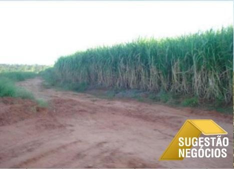 Imagem 7 de 15 de Fazenda No Asfalto Agricultura Ou Pecuaria - 3112