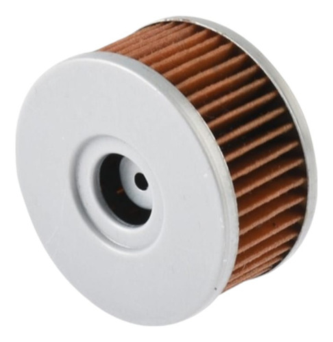 Filtro Aceite Vortx 250 Blackbird Italika Original E09020043
