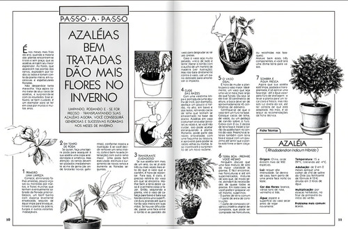 Revista Natureza 400, de Editora Europa. Editorial Editora Europa Ltda., capa mole em português, 2021