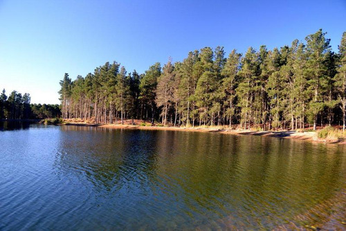 Imagen 8 de 25 de Venta - Lote Con Vista A Laguna Y Bosque En Viilla Robles - Barrio Cerrado