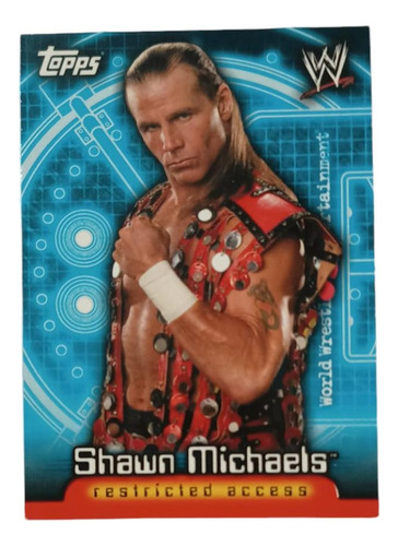 2006 Topps Wwe Insider Restricted Access 25 Shawn Michaels (Usado)