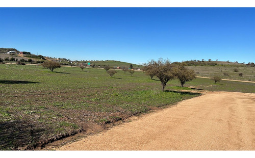 Excelente!! Parcelas De 5.000 M2 Con Rol Propio En "lom