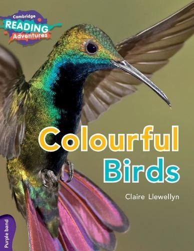 Libro Colourful Birds Purple Band De Vvaa Cambridge