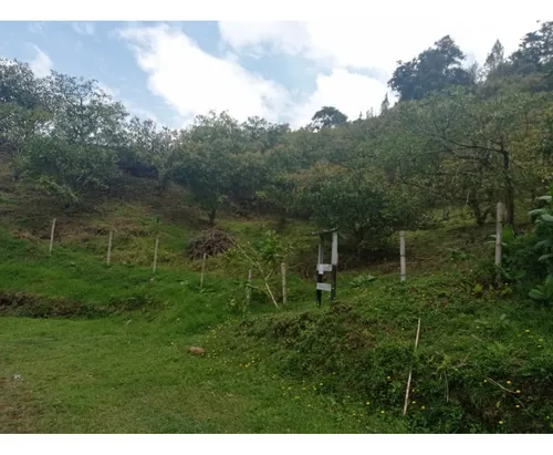 Lote En Venta Proyecto De Parcelación En El Retiro, Vía Pantanillo