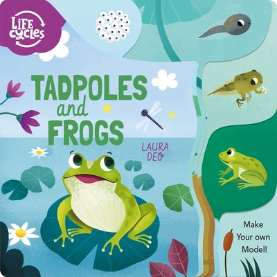 Libro Tadpoles And Frogs: Make Your Own Model! - Savery, ...