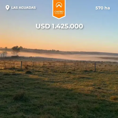 Campo 570 Ha - Las Aguadas, San Martin - foto 1