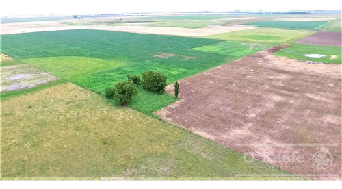 Imagen 3 de 17 de Campo En Venta 780 Has Mixto En Chascomus- 90 % Clase Iii.