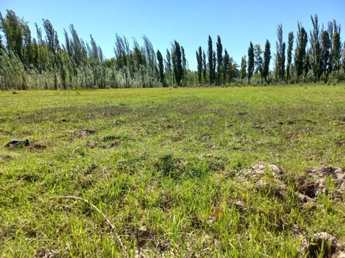 Imagen 6 de 8 de En Venta Chacra General Conesa 6 Hectareas