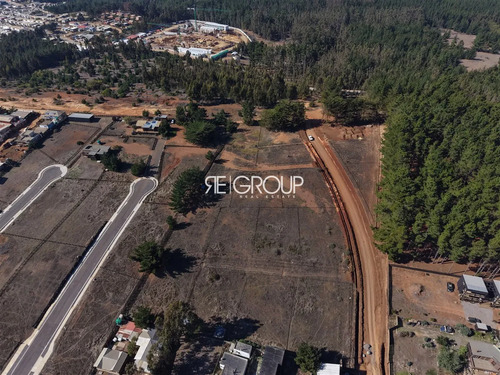 Terrenos Pichilemu Oportunidad En Verde