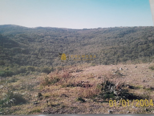 Campo Con Casa, Tajamar Monte Natural Muy Cerca De Aigua Consulte.- Ref: 1552