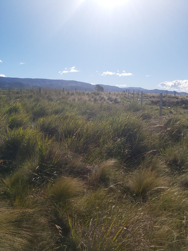 Imagen 7 de 10 de Terreno De 420m2 En Pampa Alta Potrero De Garay
