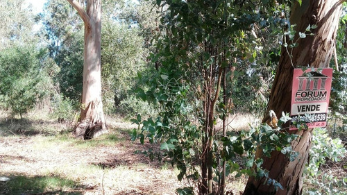 Imagen 4 de 5 de Terreno En Venta - Punta Del Este Marly