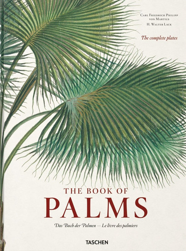 The Book Of Palms - Vv.aa