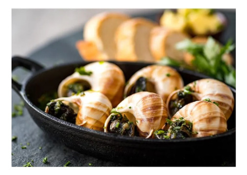 Escargot Frances La Pastina Com Concha 24 Uni 125 Gr