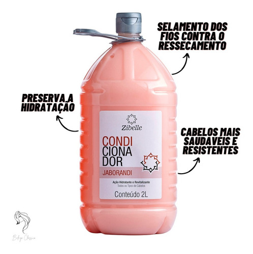 Kit 1 Shampoo + 1 Condicionador Jaborandi 2l Brilho E Maciez