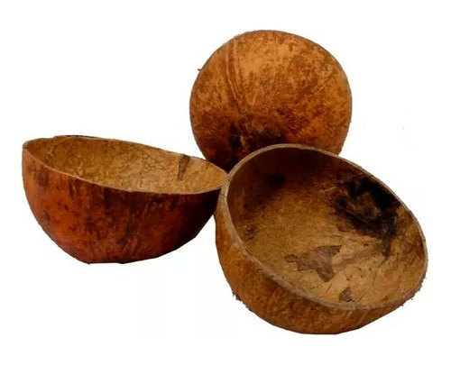 Coité De Coco Com Base Cuia Baiano Caboclo Umbanda Candomblé