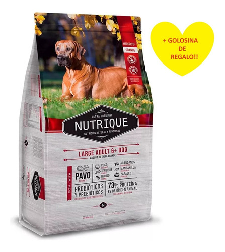 Nutrique Perro Large Senior Adulto+6 Grande 15k + Regalo!