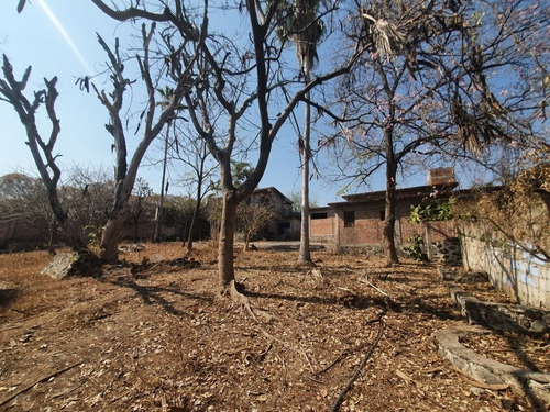 Imagen 18 de 30 de Terreno En Venta En Miacatlán