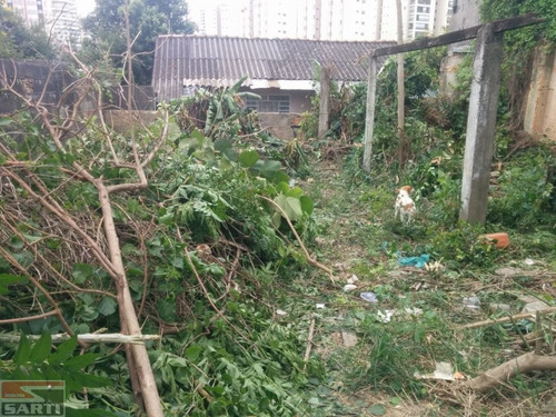 Imagem 4 de 5 de Terreno No Chora Menino - St17352