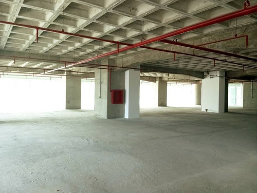 Piso De Oficina En Centro Empresarial La Esmeralda, Campo Alegre
