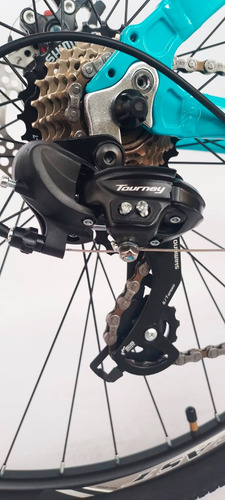 Imagen 4 de 5 de Bicicleta Fire Bird Mtb 21 Vel Plus Dm Rodado 29
