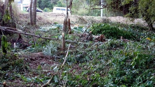 Imagem 4 de 5 de Terreno À Venda Na Estrada Artur Antunes Quintanilha, Rio Do Ouro, Rio Bonito - Rj - Liv-10049