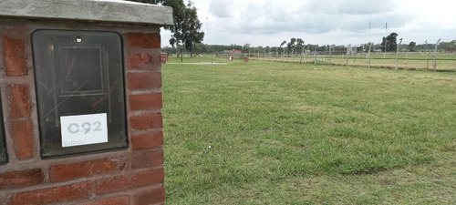 Imagen 12 de 12 de Venta-terreno -pilar- Santo Tomas-interno