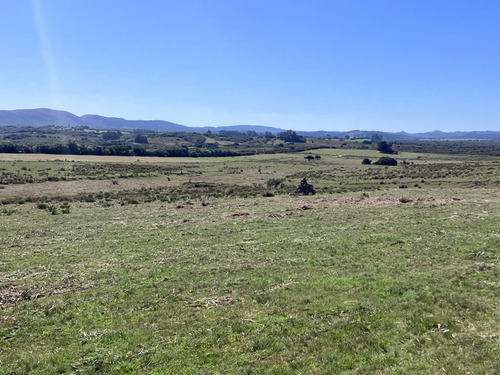 Chacras De 5 Hectáreas En Ruta 109