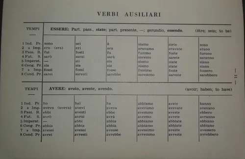 I Verbi Italiani Por A Trentini (Usado)