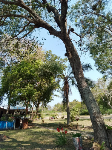 Quinta