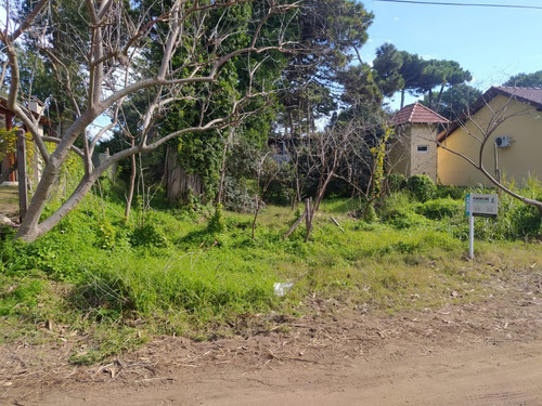 Imagen 3 de 6 de Cod 349 Lote Urquiza