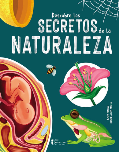 Libro Descubre Las Creaciones Asombrosas De La Naturaleza