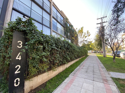 Triplex En Arriendo 1d,2b,1est,1bd,terraza. En Providencia