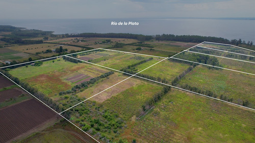 Campo Para La Venta Fraccionado Con Costa Al Rio De La Plat