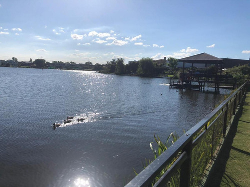Imagen 9 de 16 de Lote En Venta Barbarita Laguna