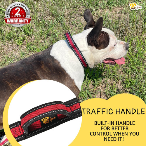 Adityna - Collar De Perro Resistente Para Perros Medianos -