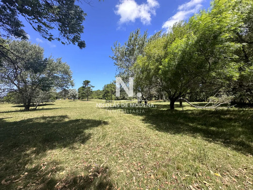 Vende Terreno Ideal Para Desarrollo De Barrio Privado. Punta Del Este