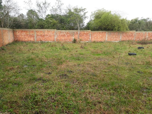 Imagem 6 de 7 de Terreno - Te00036 - 32893250