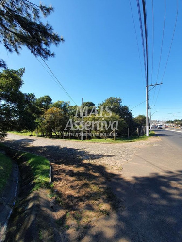 Imagem 9 de 12 de Terreno Para Venda Em Torres, Centro - 175785-av_2-1345361