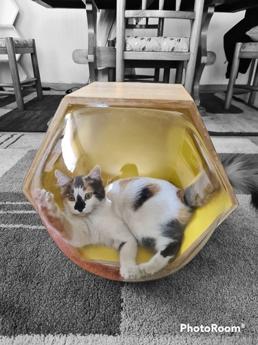 Imagen 3 de 5 de Casa, Cama, Transportadora De Gatos Y
