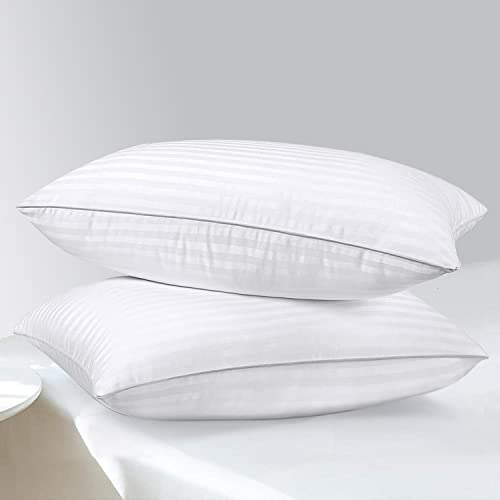 Homelab 2 Pack Standard Pillows For Sleeping - 100% 1mhbh